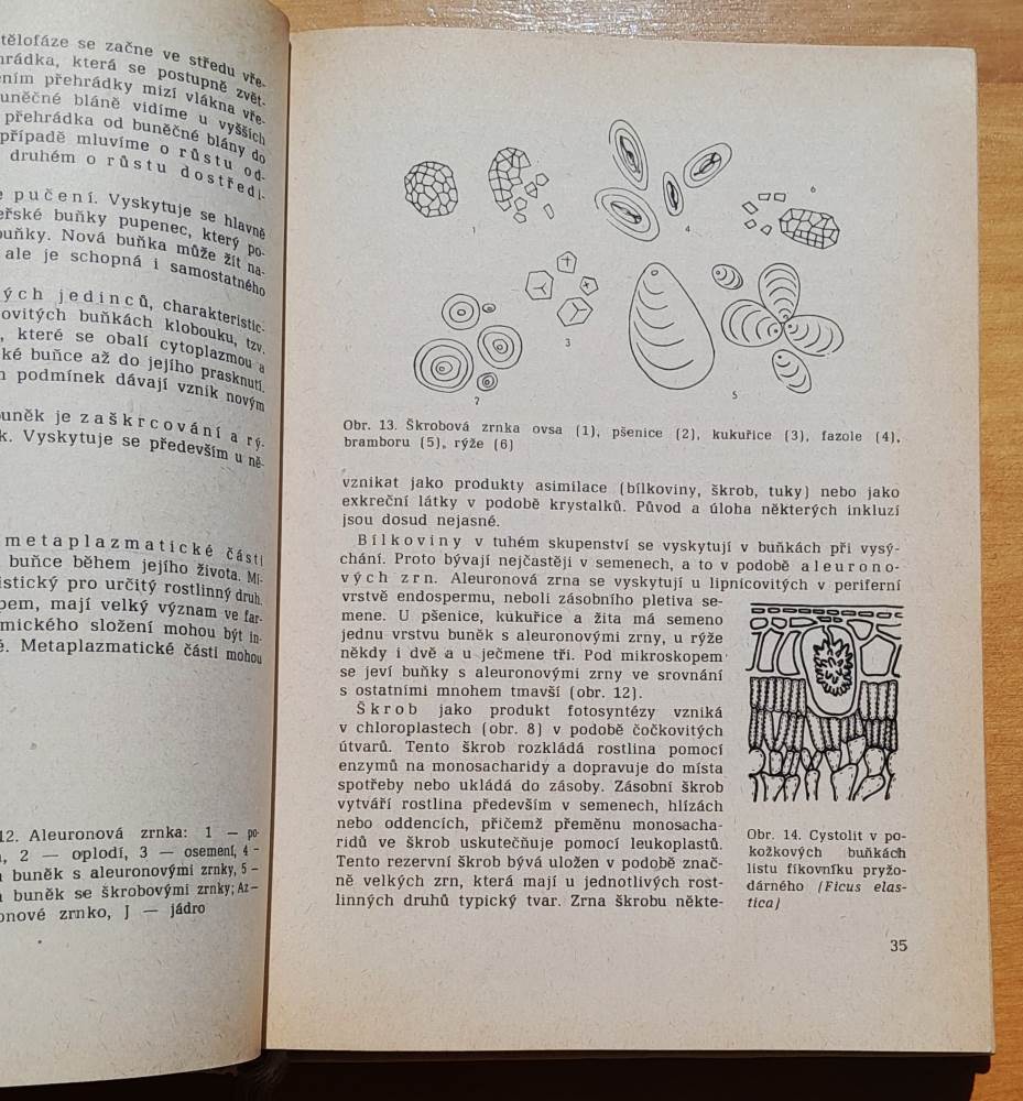 Botanika / Učebnice pro zdravotnické školy