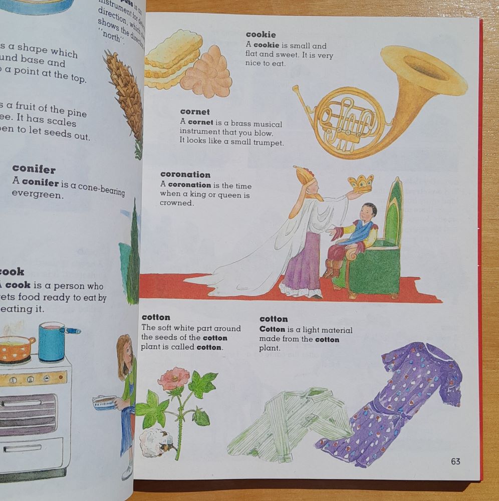 Children's picture dictionary