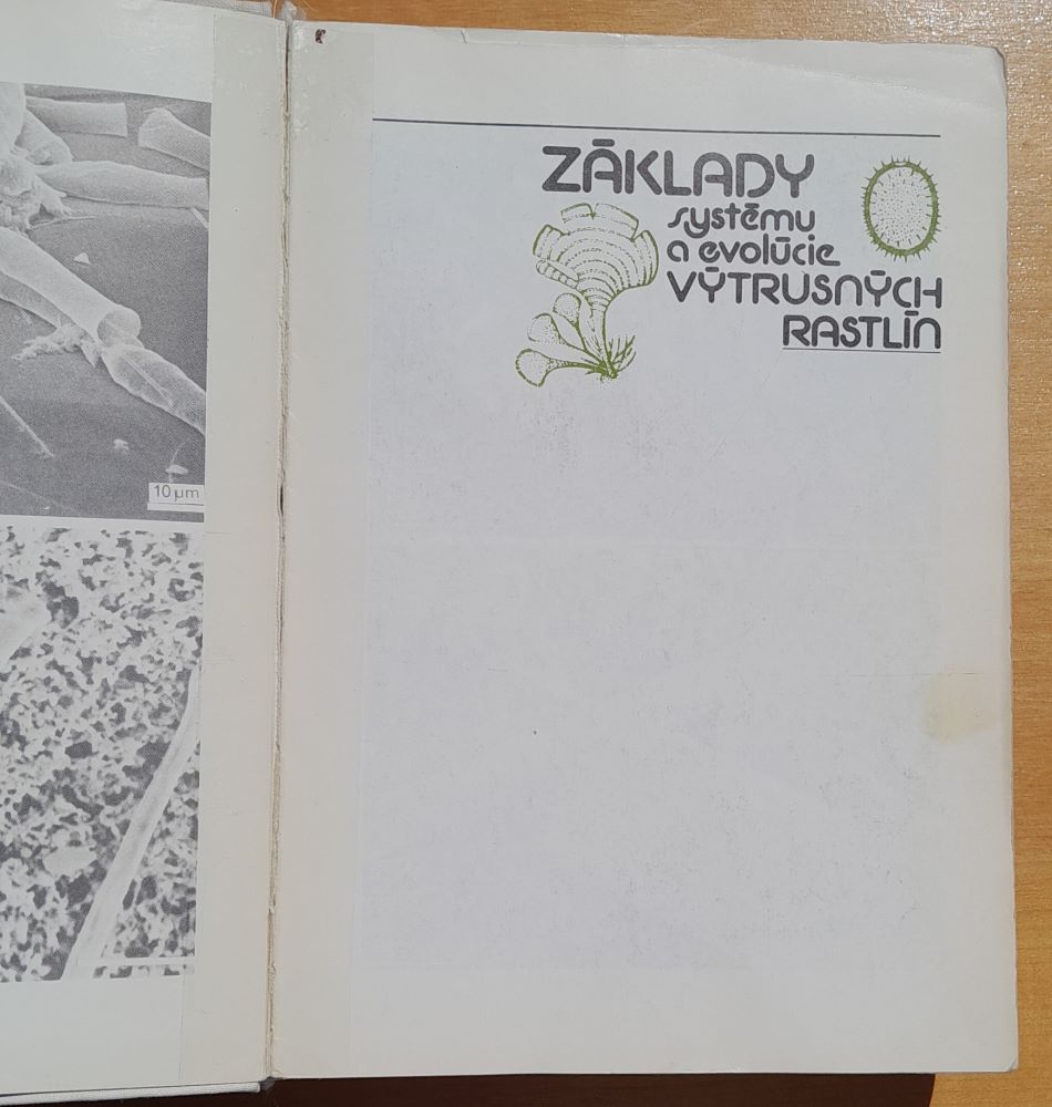 Základy systému a evolúcie výtrusných rastlín