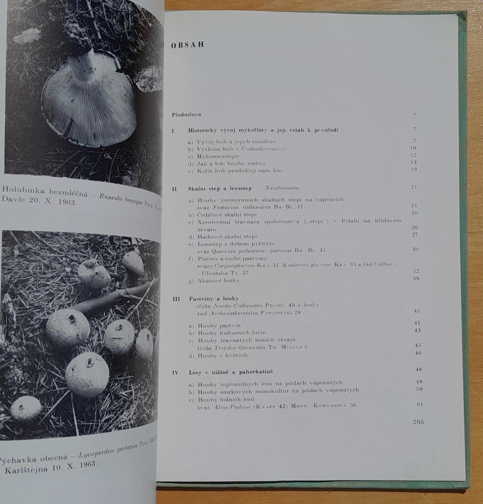 Houby Československa ve svém životním prostředí