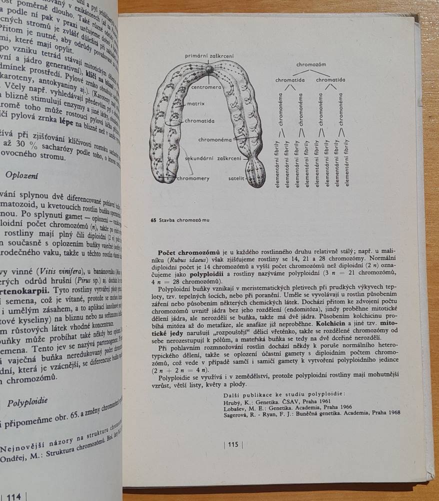 Základy fyziologie rostlin