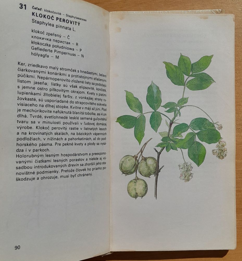 Atlas chránených rastlín / Edícia Obrázky z prírody