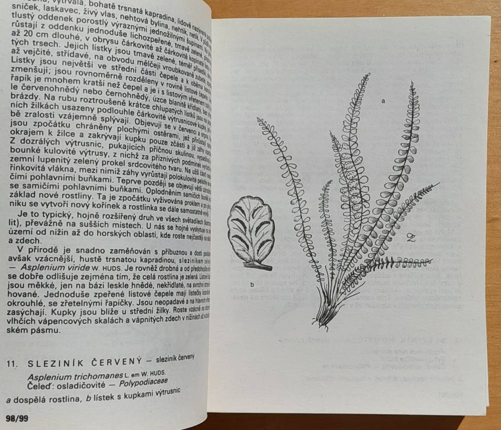 Rostliny strání, skal, křovin a lesú / Kapesní atlas