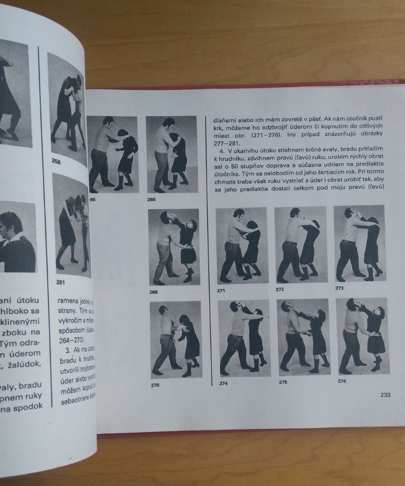 Základy sebaobrany / Karate
