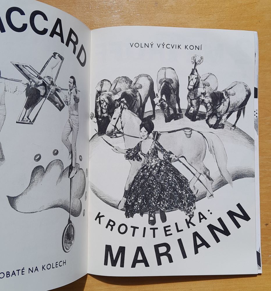 Cirkus Budapešt / Program predstavenia