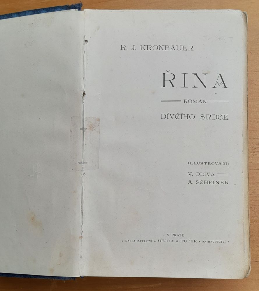 Řina / Román dívčího srdce