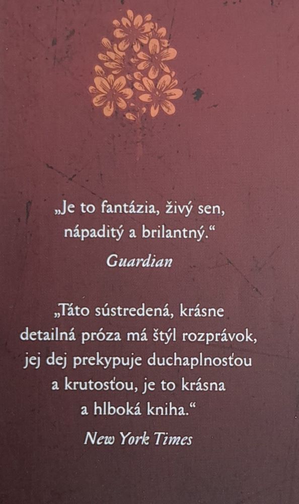 Vášeň - historický román
