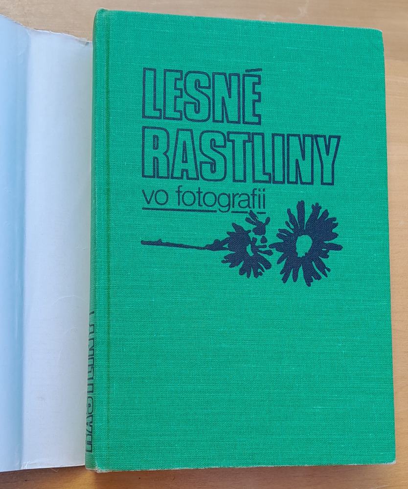 Lesné rastliny vo fotografii