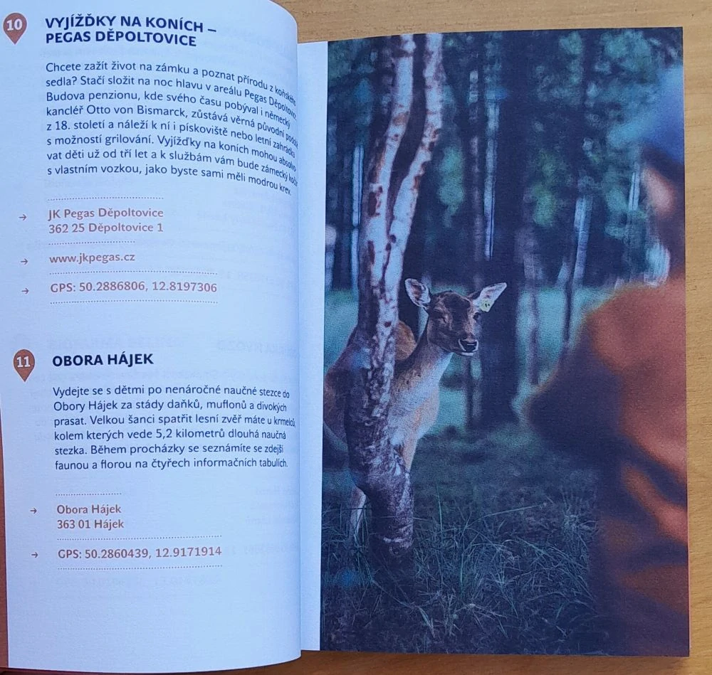 Rodinná dovolená v Karlovarském kraji