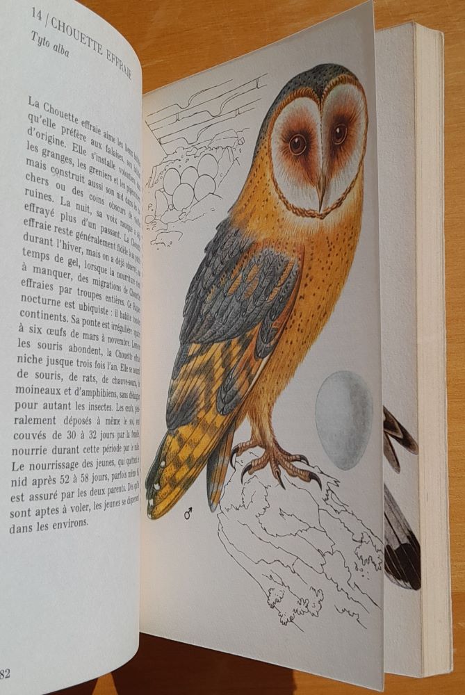 Les Oiseaux / des jardins, des parcs et des champs