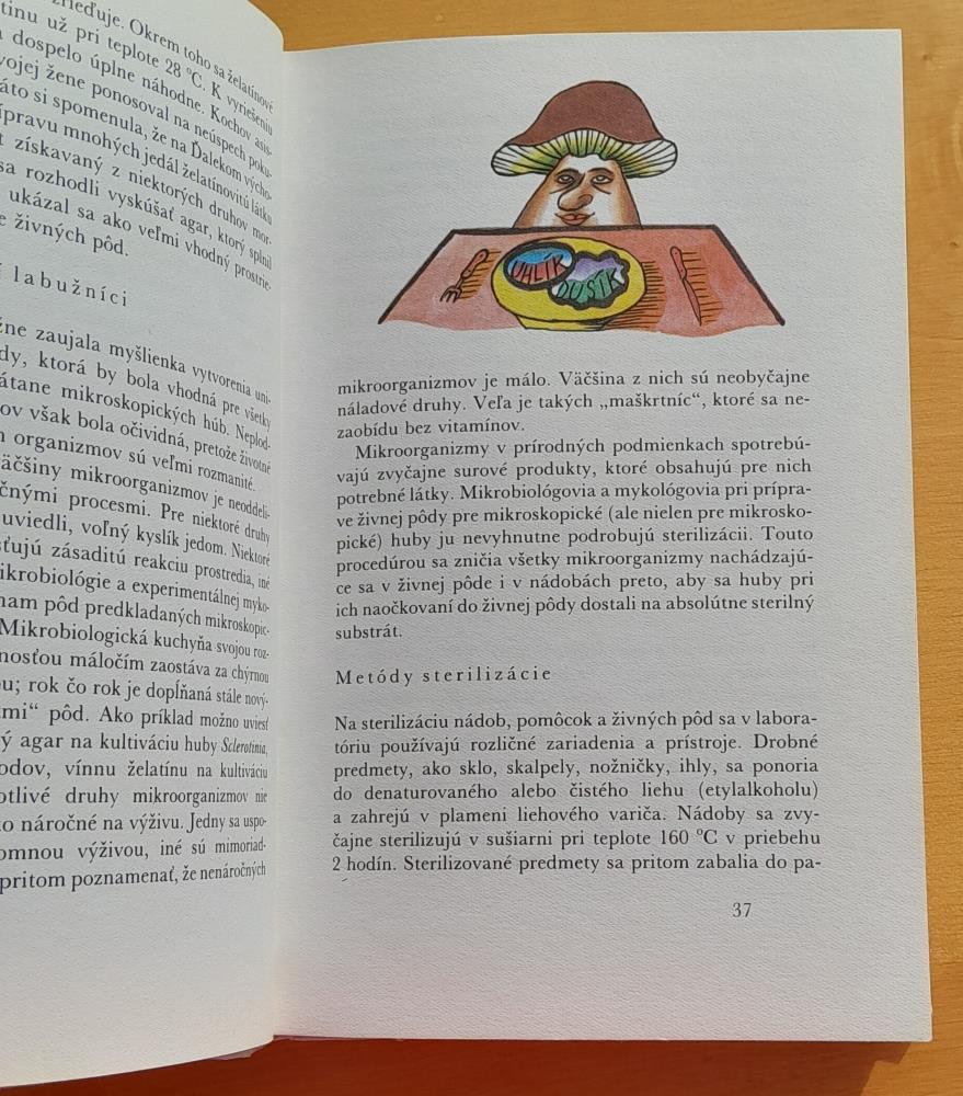 Huby, rastliny a ľudia 
