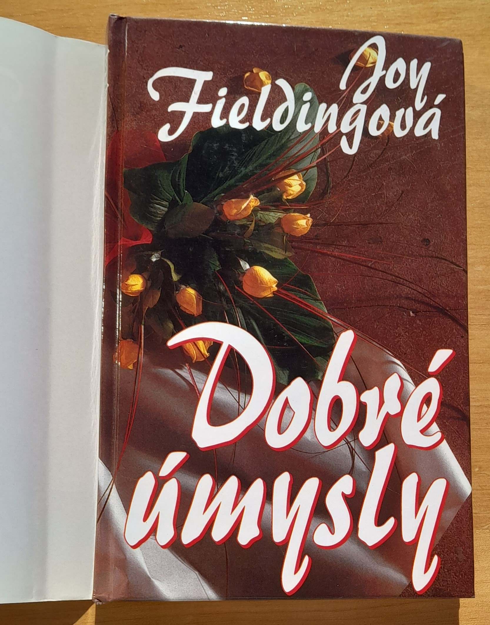 Dobré úmysly / Good Intentions