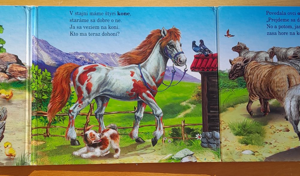 Na dvore / leporelo