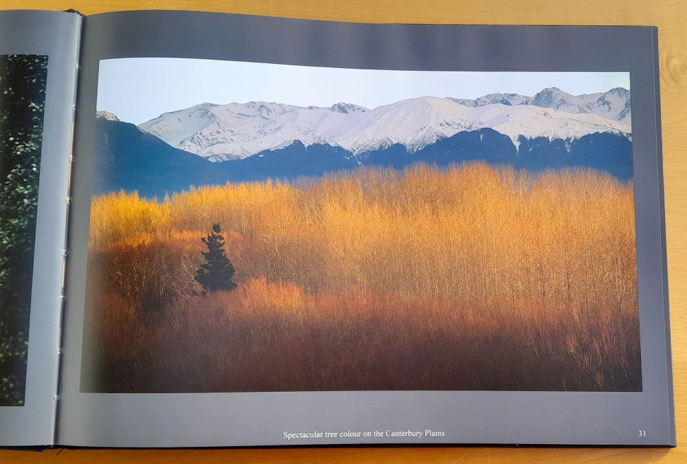 New Zealand magic / Fotokniha