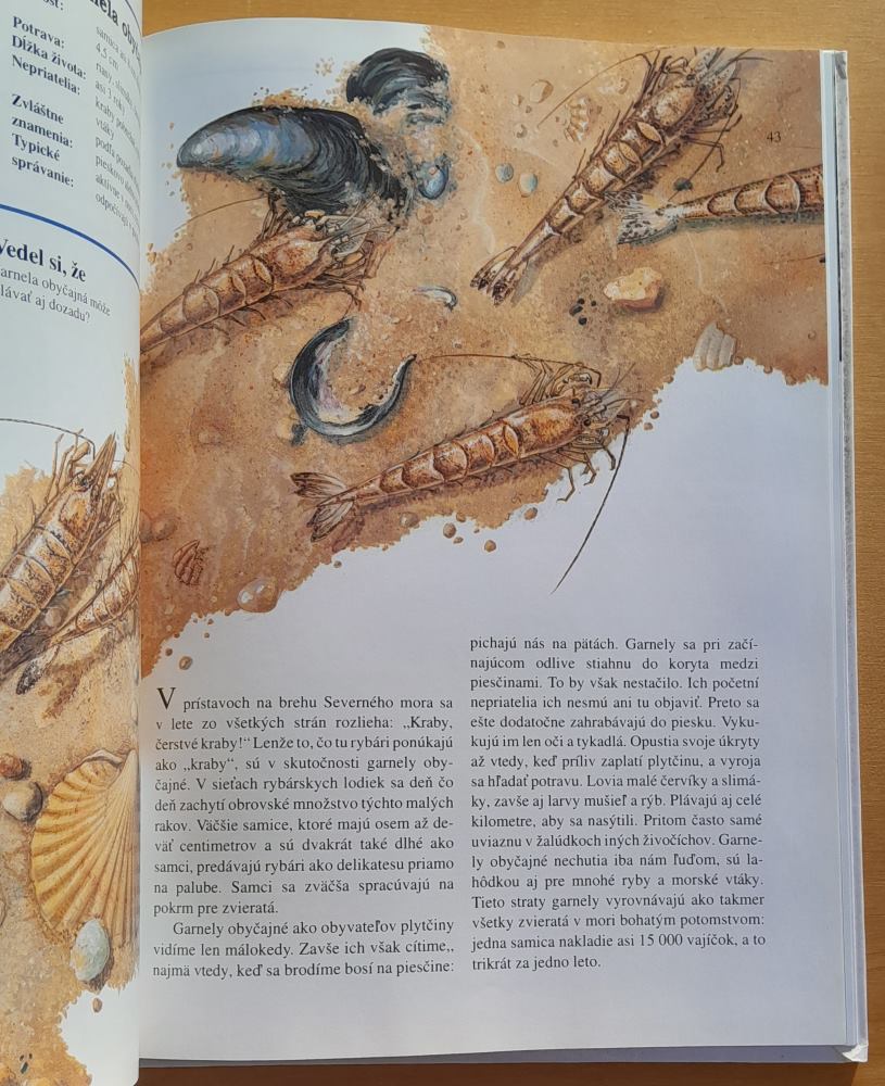 Zvieratá na pláži a na pobreží / Malá encyklopédia prírody