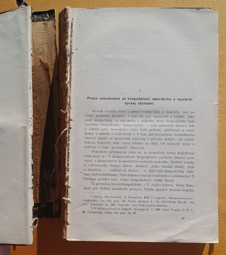 Dějiny řemesel a obchodu v Čechách v XIV. a v XV. století / Zikmund Winter