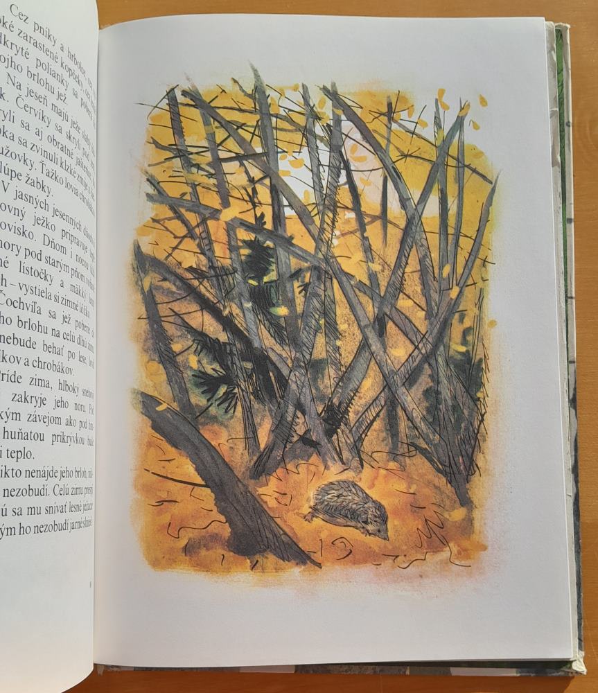 Rok v lese / I. Sokolov-Mikitov