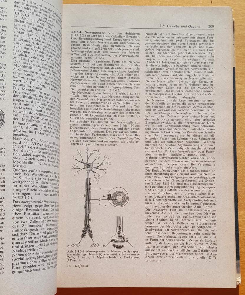 Natur / Kleine Enzyklopädie