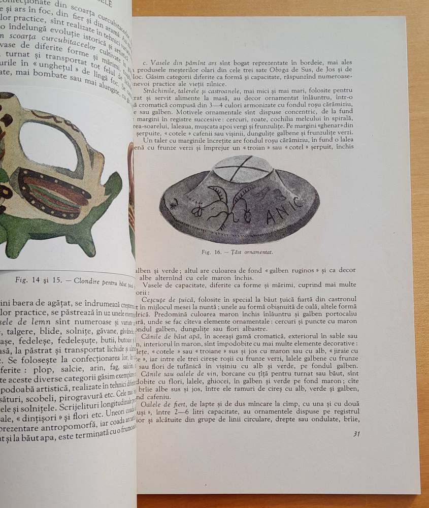 Elemente decorative la bordeiele din sudul regiuni Craiova 