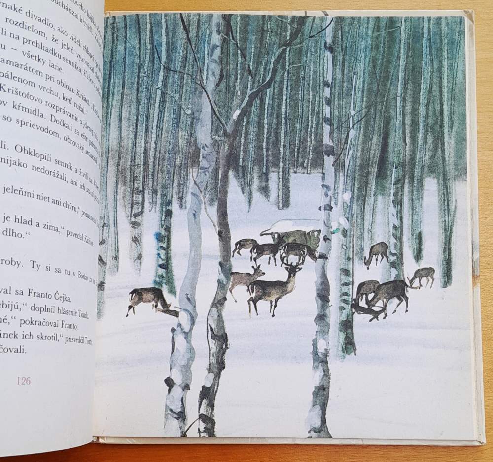 Chlapec ako šidlo / KMČ