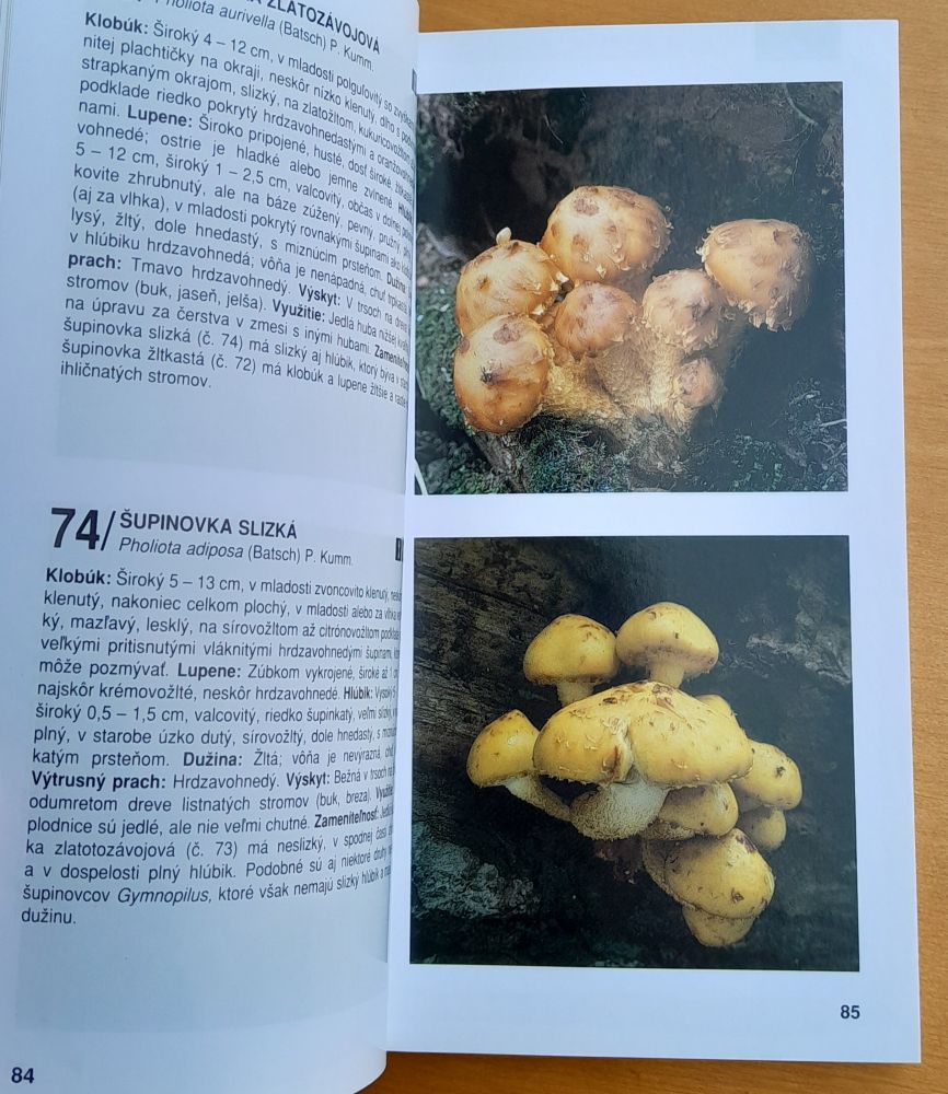 Nový atlas húb do vrecka