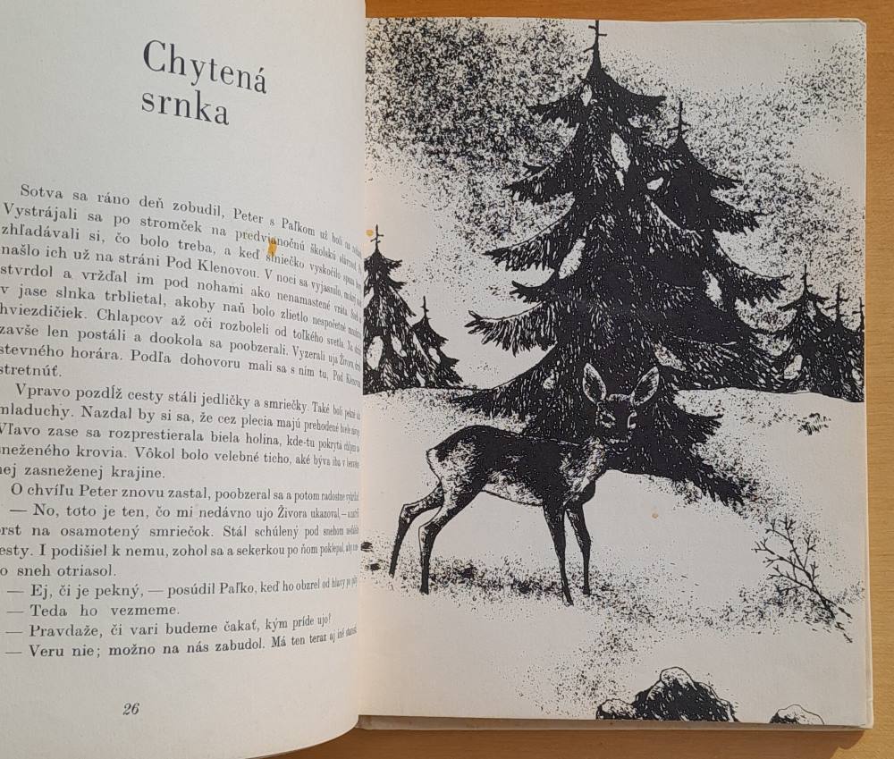 Medvieďa zo Studenej doliny