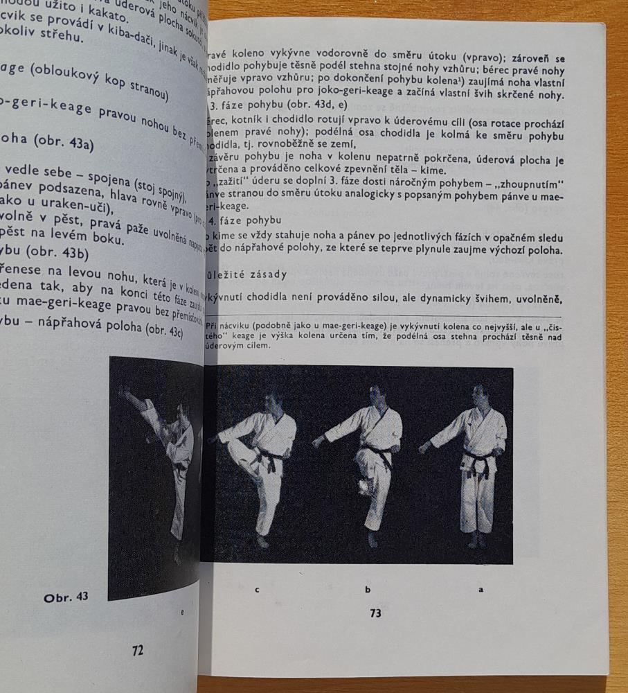 Karate / Základy sportovního karate a úderové techniky pro sebeobranu