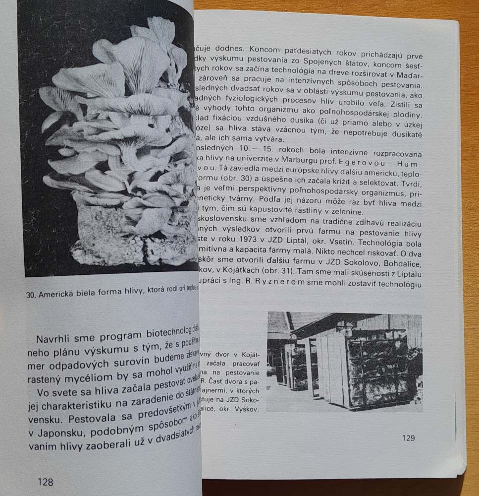 Pestovanie húb