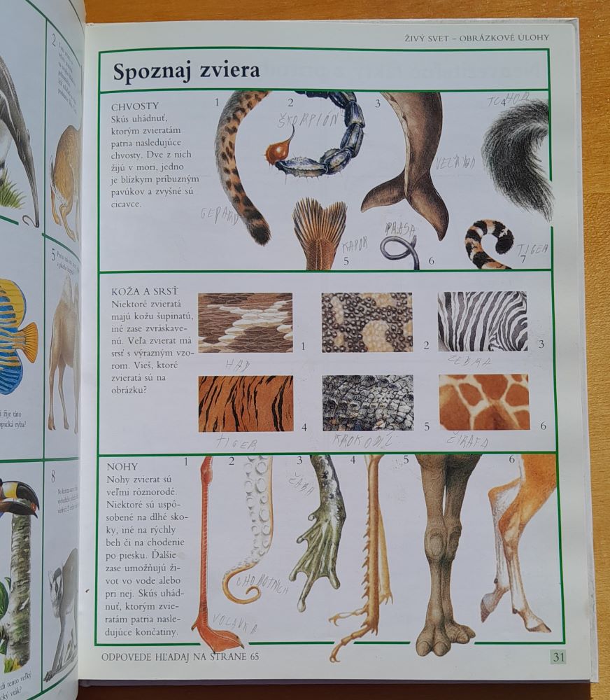 Detská ilustrovaná encyklopédia / Otázky a odpovede