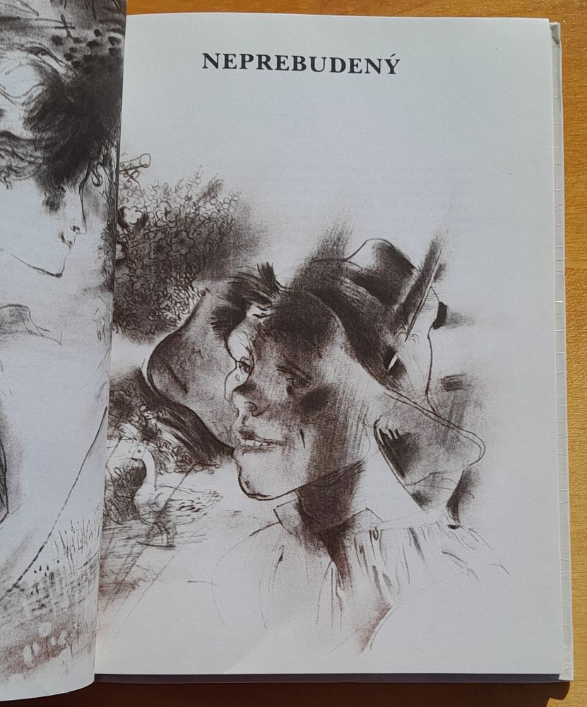 Rysavá jalovica a iné poviedky / KMČ / Mimočítanková literatúra