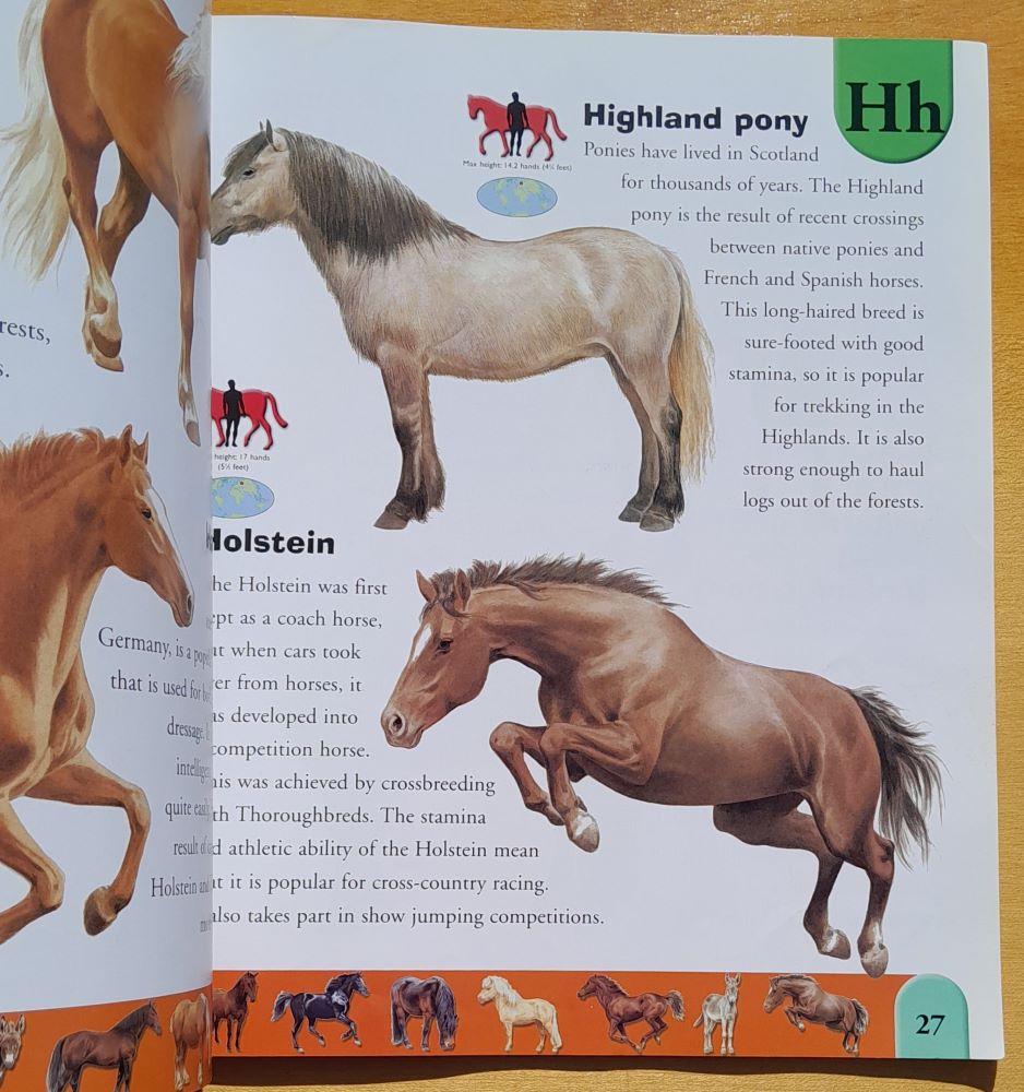 Horse Dictionary / An A to Z of horses