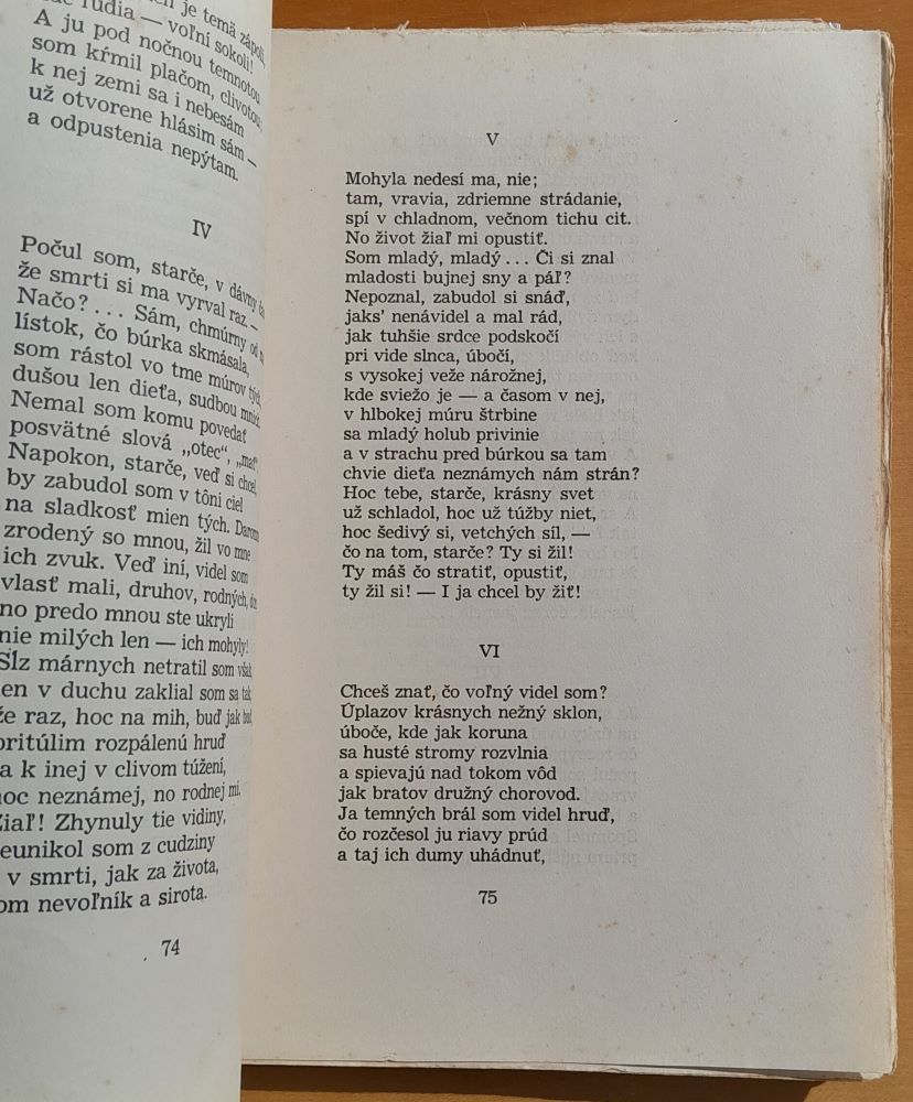 Básne - Lermontov