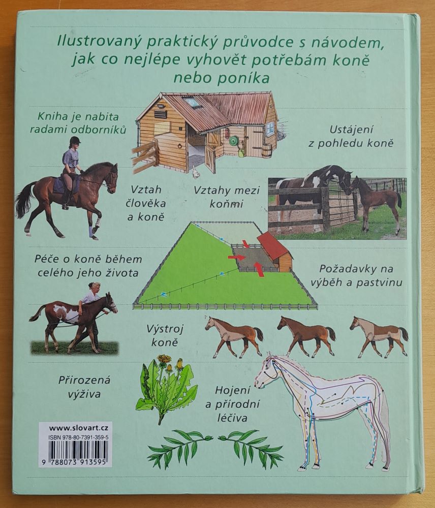 Chov koní přirozeným zpúsobem