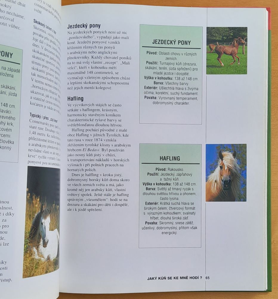 Škola jezdectví / Rádce