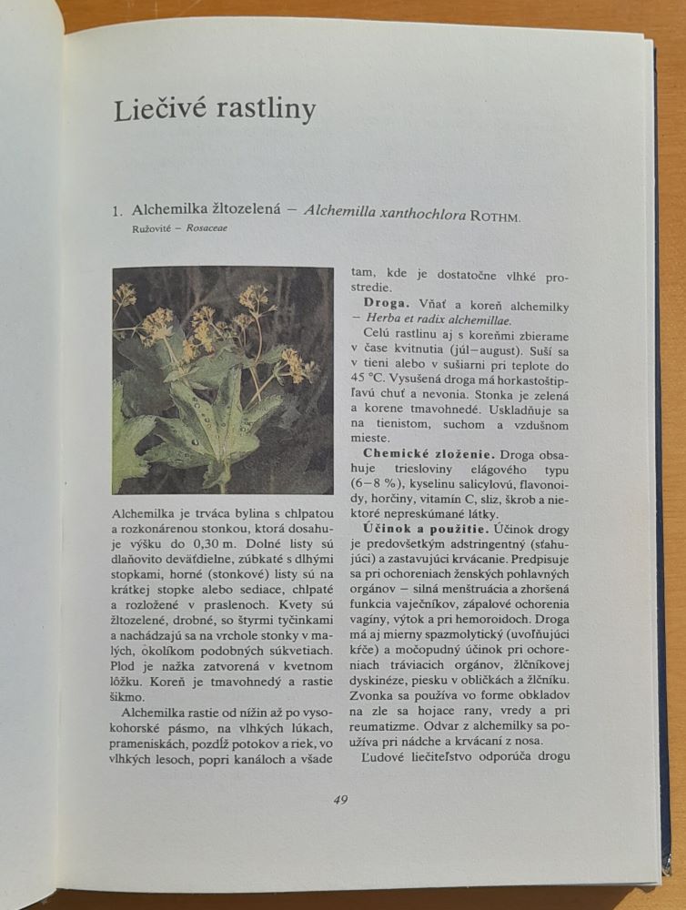 Raffael / Osudy slávnych