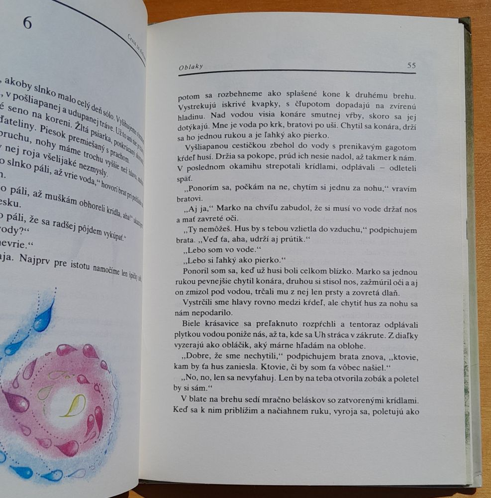 Cesta za slnkom