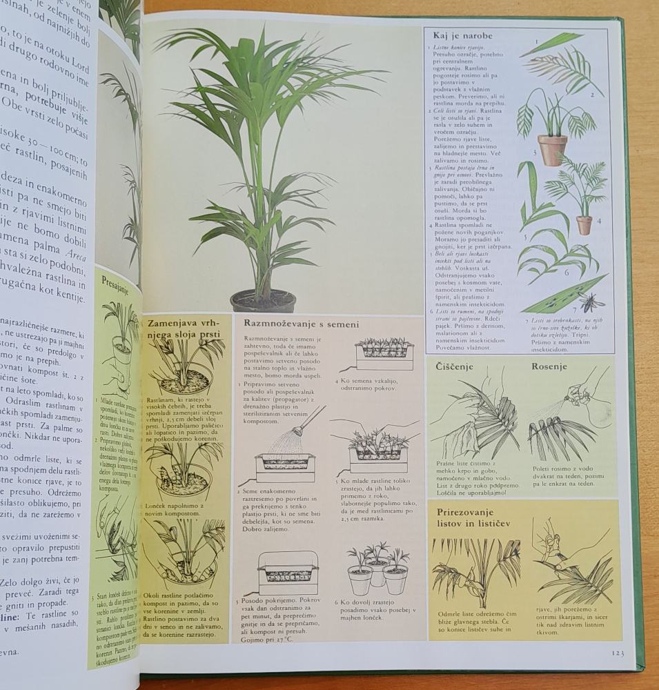 Nega sobnih rastlin z nazornimi ilustracijami