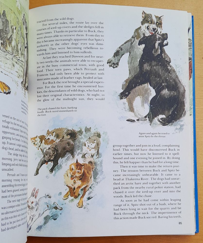 Classic Adventure stories