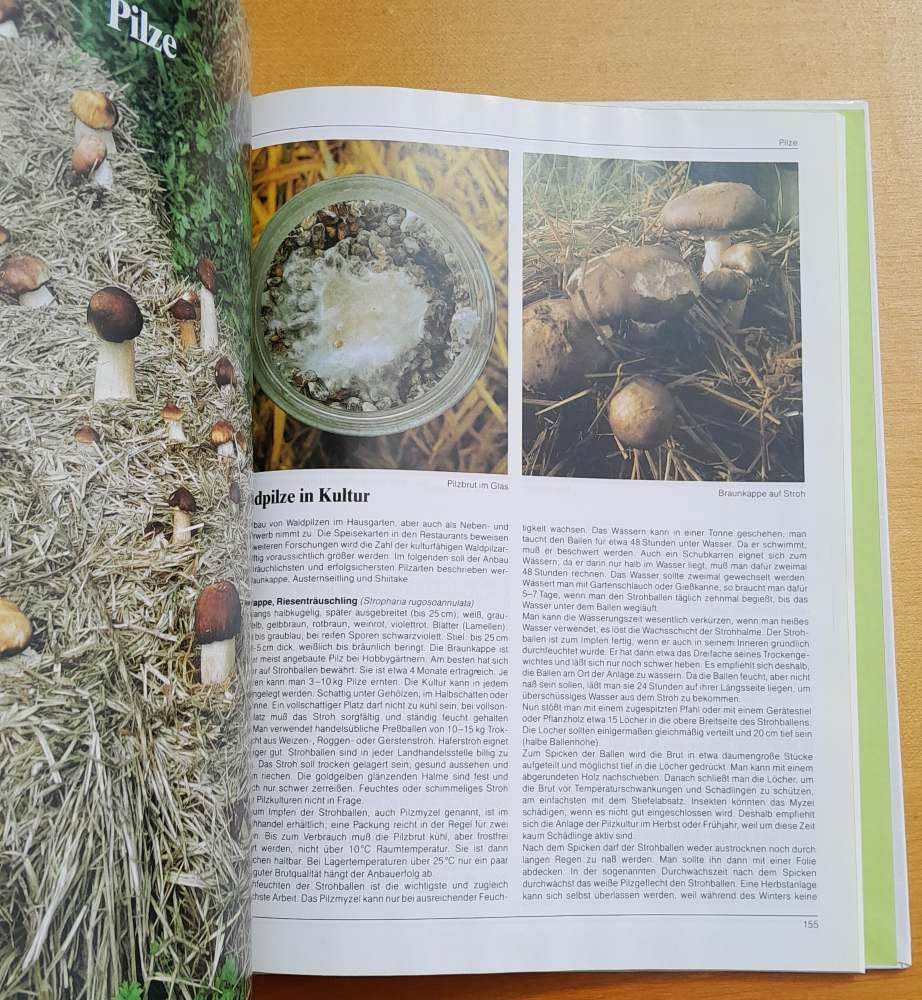 Das Mosaik-Lexikon der Nutz pflanzen / Mozaikový lexikón plodín