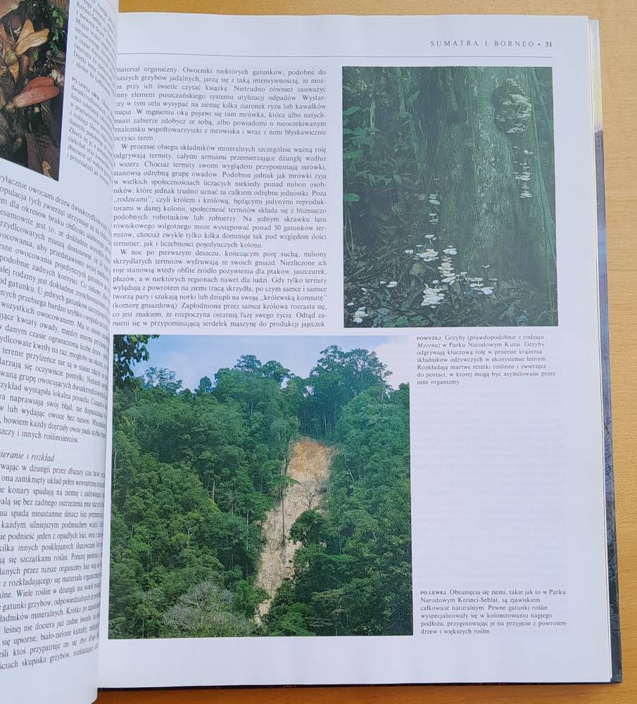 Indonezja - Fauna i flora swiata