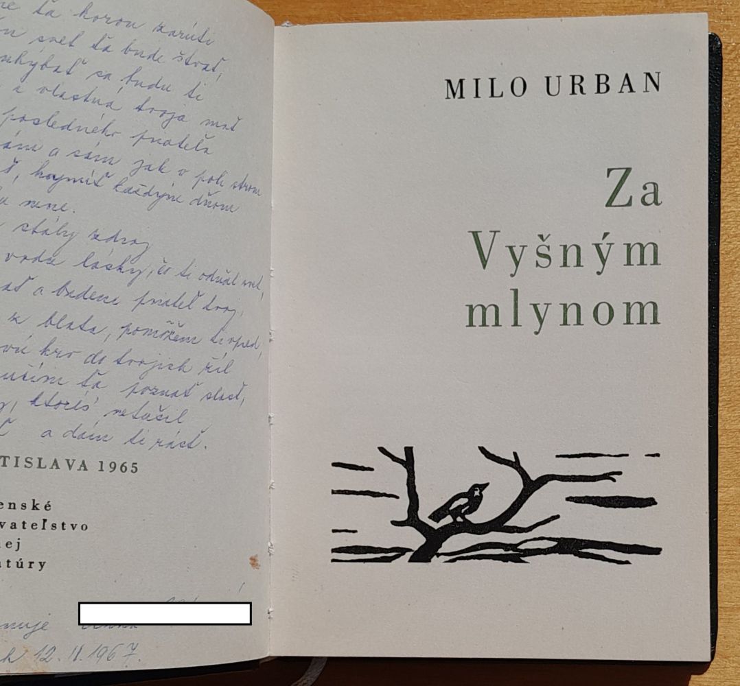 Za Vyšným mlynom / Edícia Kvety