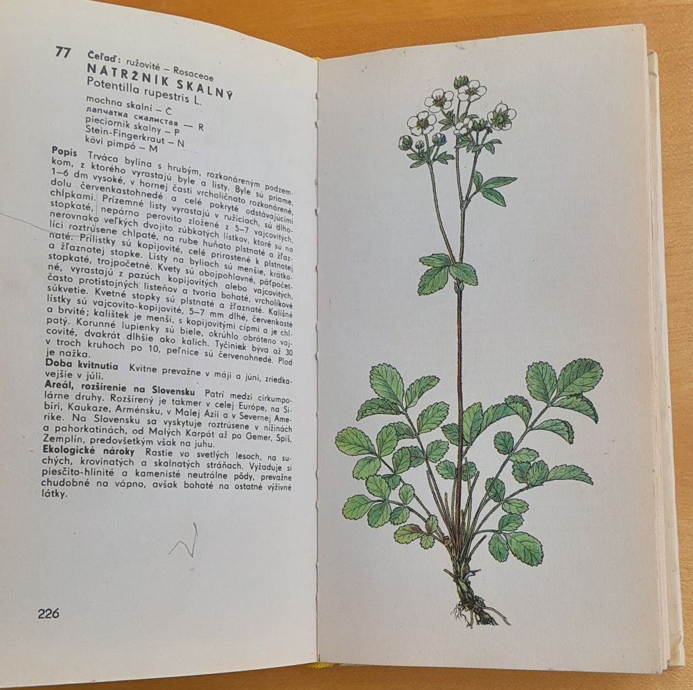 Rastliny lesov 1. / Obrázková kvetena Slovenska / Edícia Obrázky z prírody