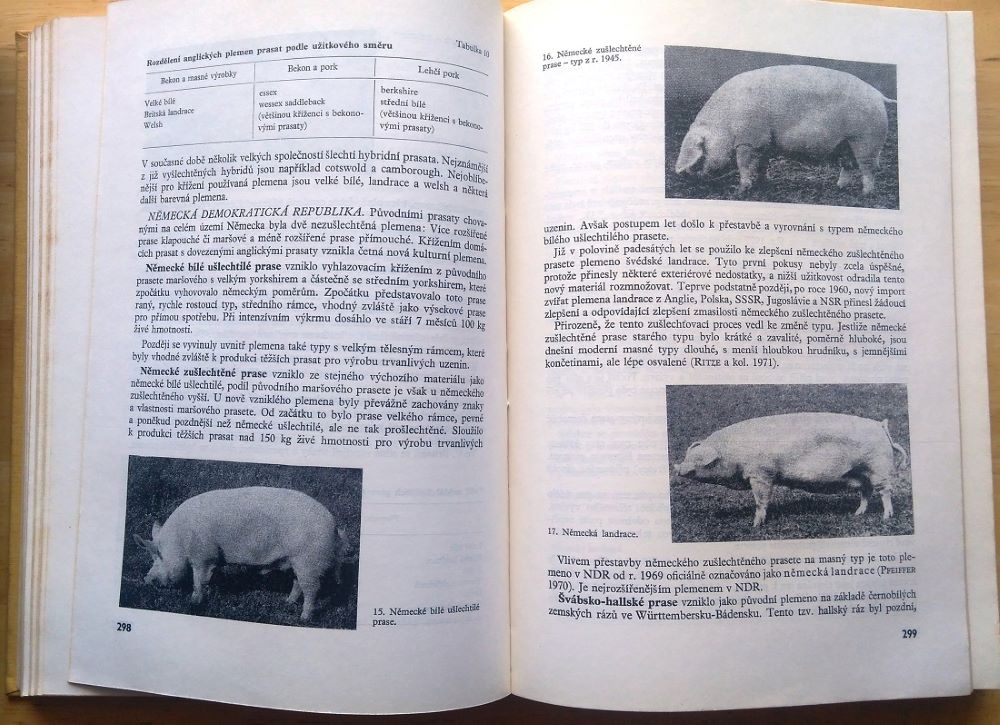 Speciální chov hodpodářských zvířat 1.