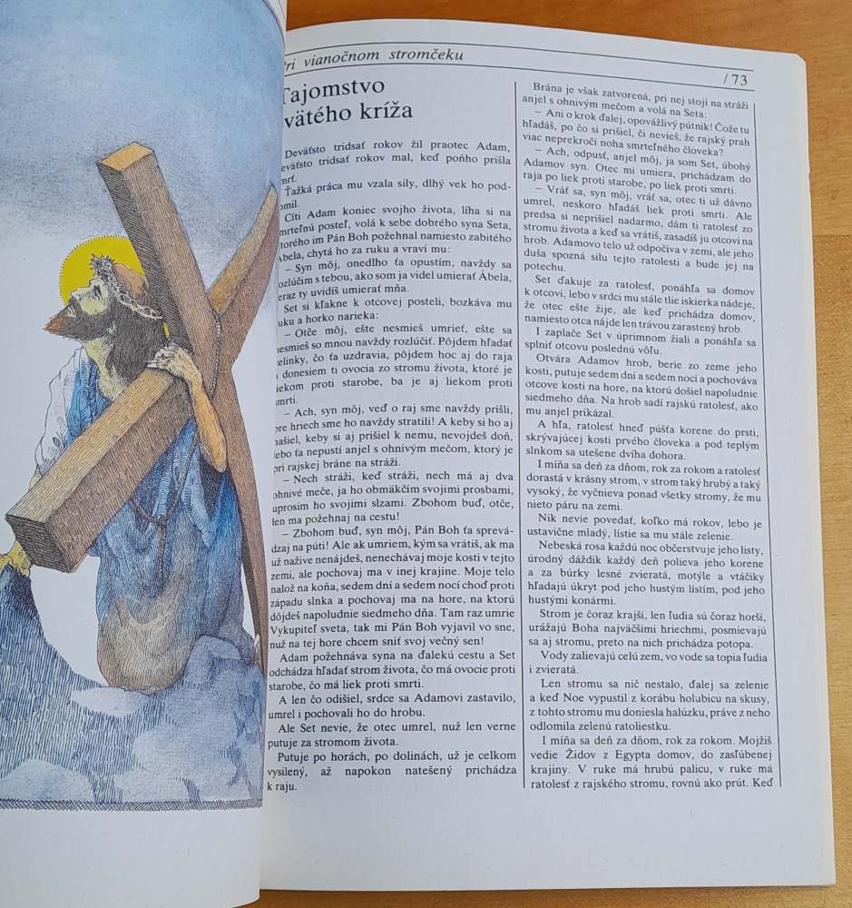 Pri vianočnom stromčeku