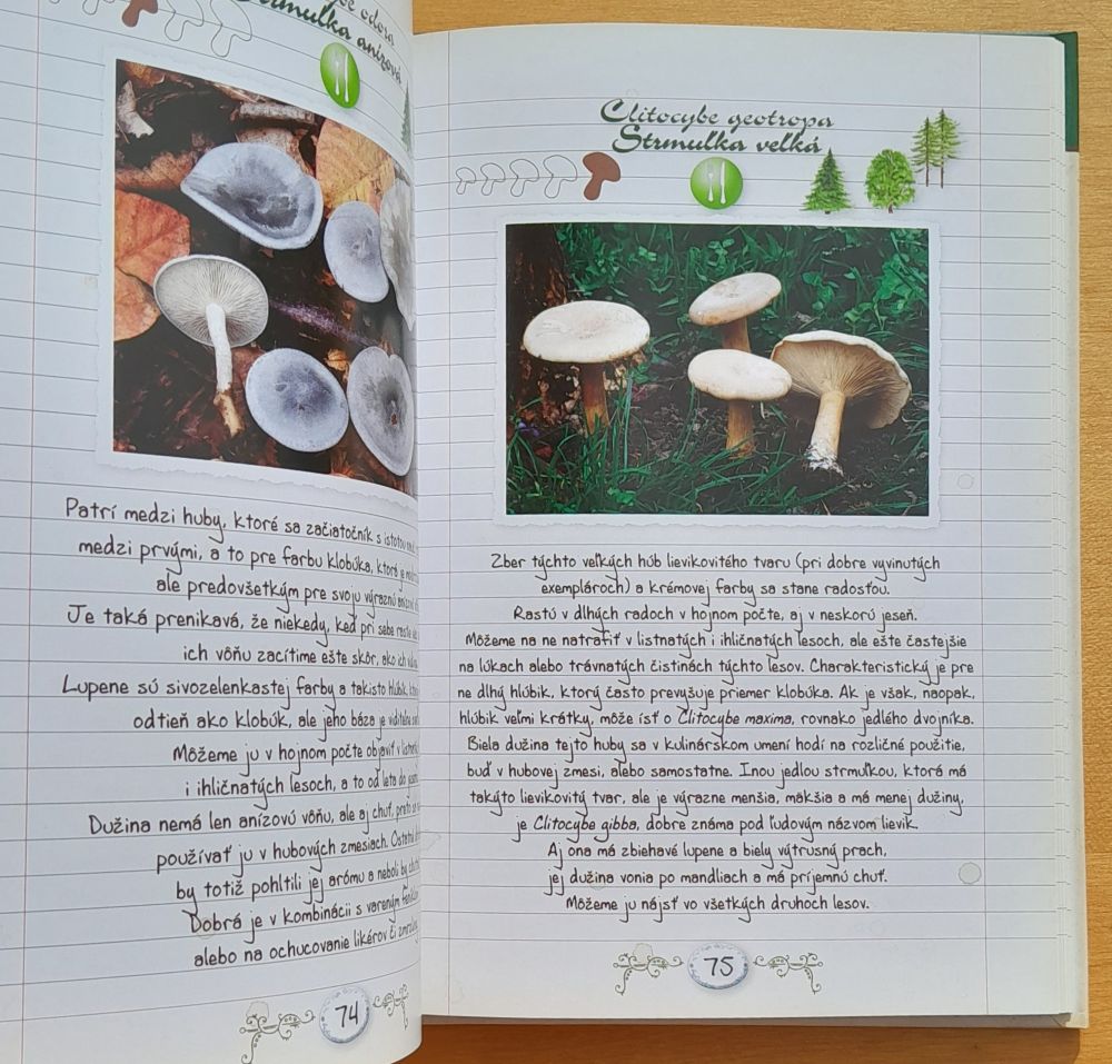 Huby / Malý atlas húb do batoha