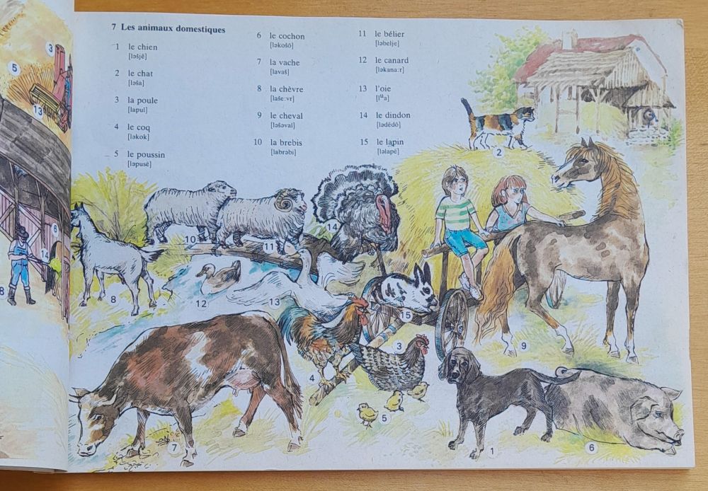 Francúzsky detský obrázkový slovníček s výslovnosťou