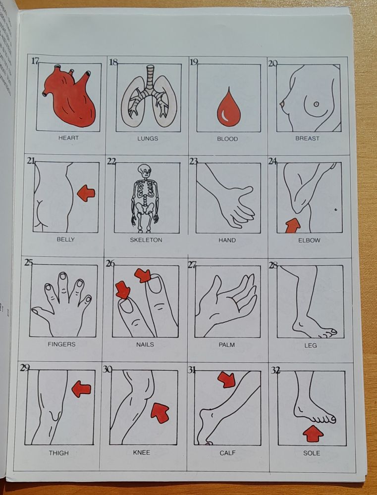Jofo / Zábavný anglicko slovenský slovník č. 2 - telo