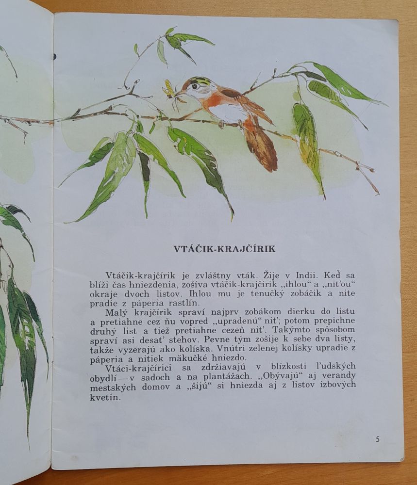 Stavitelia v ríši zvierat