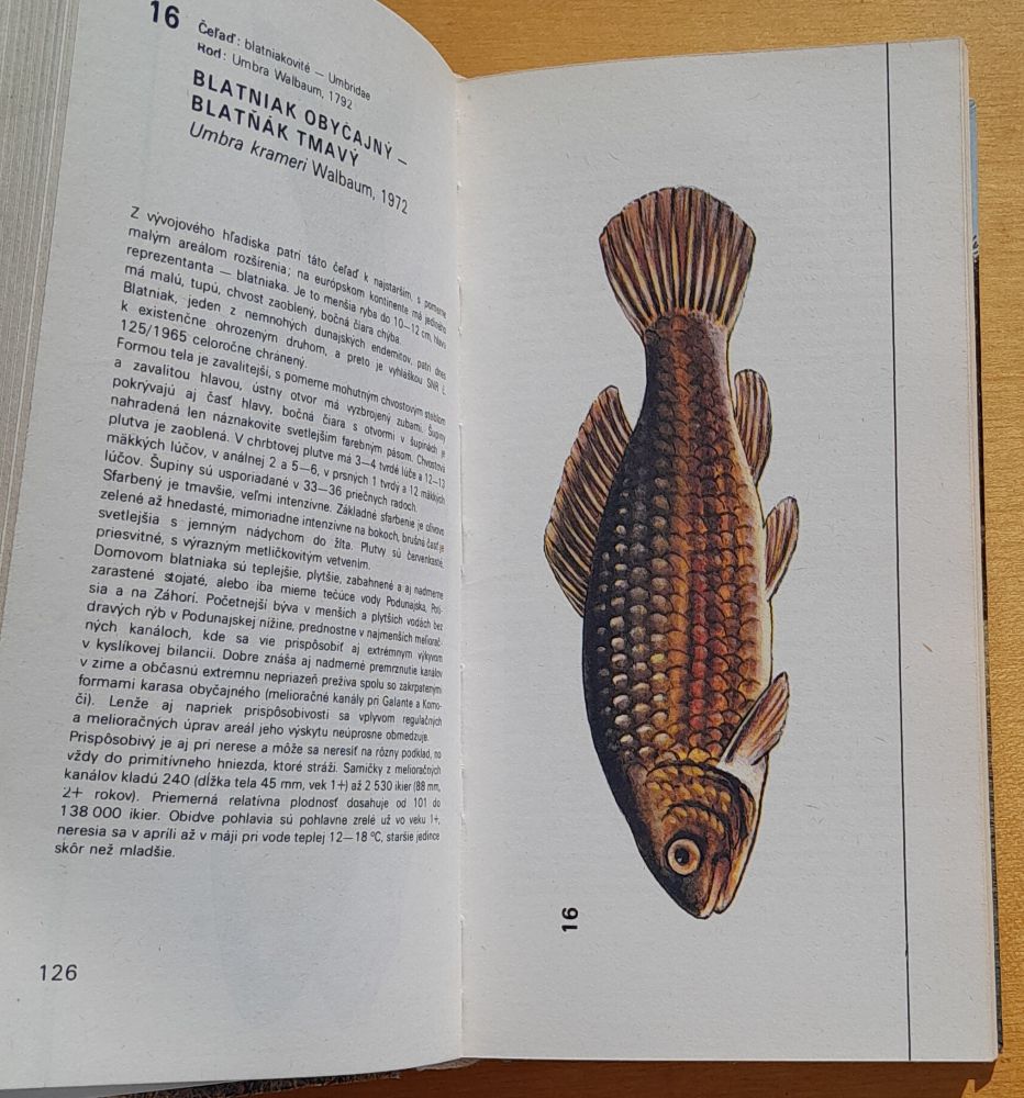 Atlas rýb / Edícia Obrázky z prírody