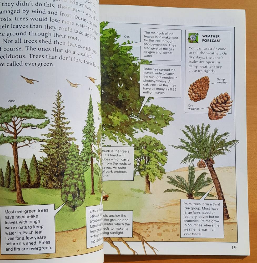 Flowers, trees and other Plants / Tell me about